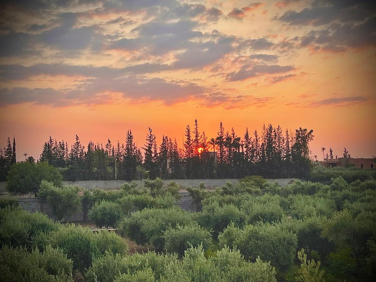 The Olives Sanctuary Marrakesh